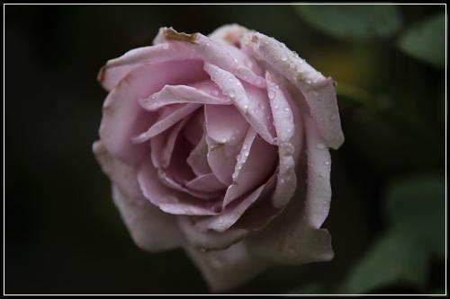 자녀보험 골라보기  건강함을 기대해요
