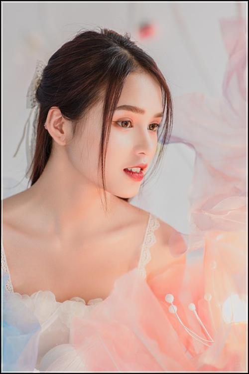 정기보험비교 및 종신보험 총집합