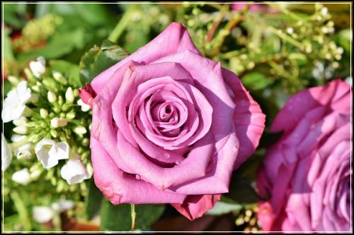 ํ์์ค๋น๋ณดํ ์บ์นํ๊ธฐ ๋ด์ฉ ๋น๊ต