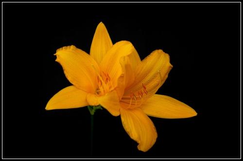 ๋ฉ๋ฆฌ์ธ ๋ณ์ก์ ๋๋ฒ์
์ข
์ ๋ณดํ ์ฐธ๊ณ ํ์ธ์