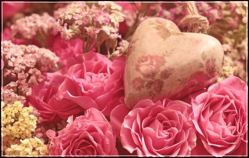 암보험가입방법의 전부대비 실속있는