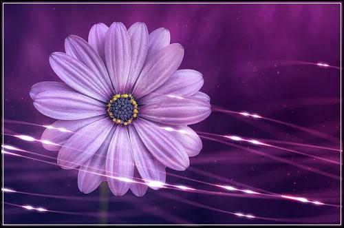 ์์๋ณด์ฅํ์๋ณดํ ํ๋ฃกํ๋ค ์ค๋ช