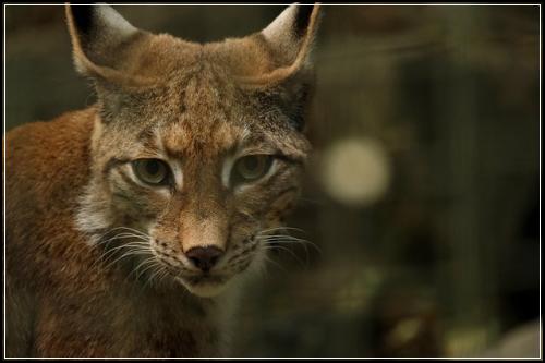 ala원스톱 암보험2 챙겨두세요