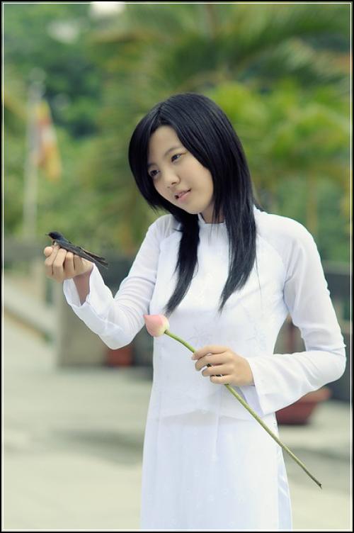 메리츠생명 종신보험 특징점검  60 견적