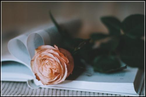 ์ ๊ธฐ๋ณดํ ํด์ผํ๋ค๋ฉด ๋์