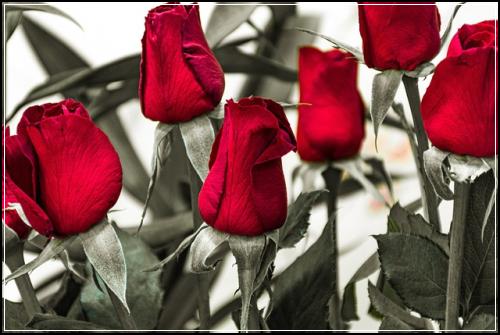 정기보험 고급정보  이상품으로 준비하세요