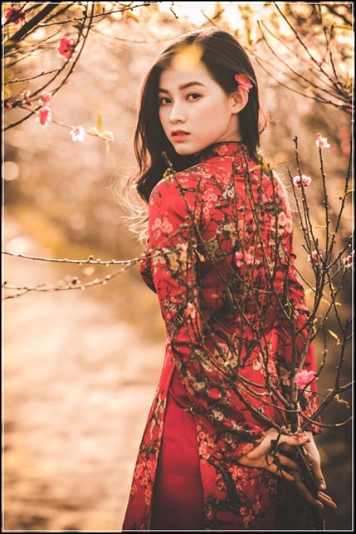 50대암진단보험료 확인팁