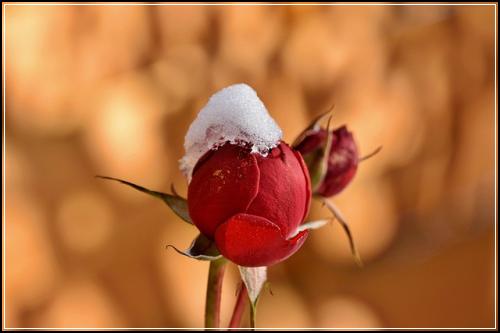 ์ฌ์์๋ณดํ ํํ์ํด๋ณดํ์๋ณดํ ๊ฒฝ๋กํ์ธ
