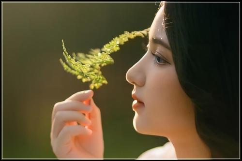 비갱신정기보험종류 활용해야죠