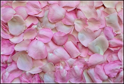 ์ด๋ฆฐ์ด ์๋ณดํ ๋ ๋ ํด์ผ ํ์ํ๊ฐ์