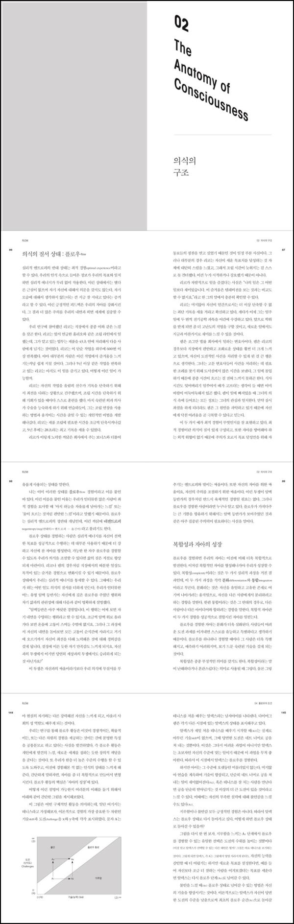몰입 Flow: 행복을 디자인하는 마법_20