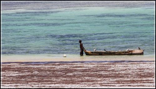 ๋ณ๋น