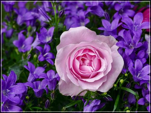๋ค์ด๋ ํธ๋ณดํ๋ถ์ํ ์ฌ๊ธฐ์์ ์ถ์ฒ์ค๊ณ