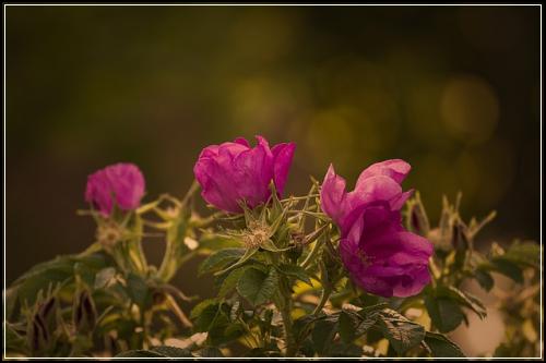 aia생명정기보험 베스트는  정확한