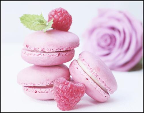 토익 기출 분석 토익 목표 점수 비교 : 토익 문제 #47