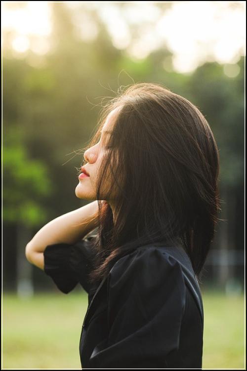 집게차자동차보험 저렴견적 