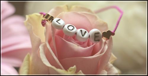 ํ์ฐ๋จธ์น์๋์ฐจ๋ณดํ ์ข์๋ณดํ ํ๋๊ฒฌ์ 