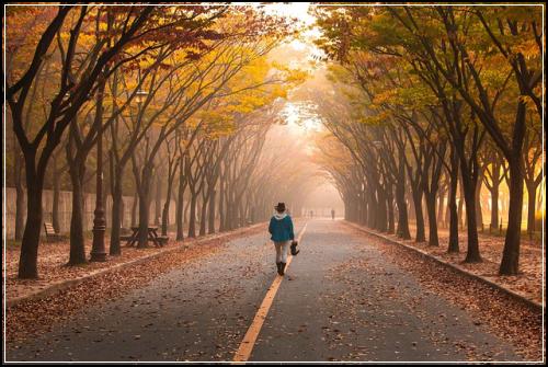 태아보험 찾아줘요  읽어보시고 도움되세요