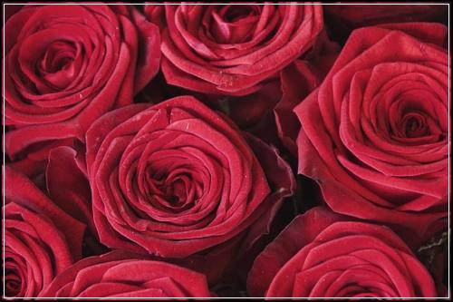 ์ด๋ฆฐ์ด๋ณดํ ๊ฐ์ถํ๋๊ณณ 20๋
