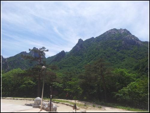 암보험납입면제 중요해요 이것이진리