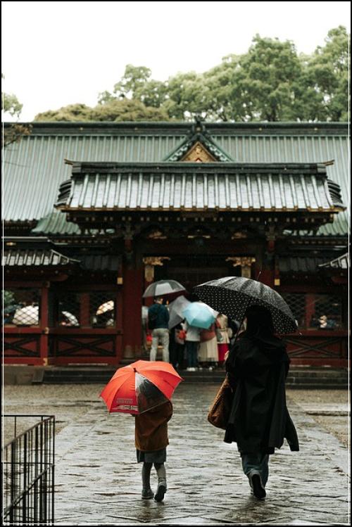 엠키즈어린이보험 확실한설명 