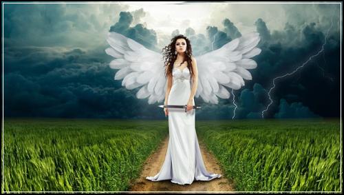 ํ ์ต ๋
ํด ๋ฌธ์ ๋๋น ํ ์ต ๋
ํด ์ง๋ฌธ ํ์ด : ํ ์ต ๋ฌธ์ #80