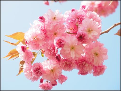 태아보험 펼쳐보기  2021년 마스터플랜