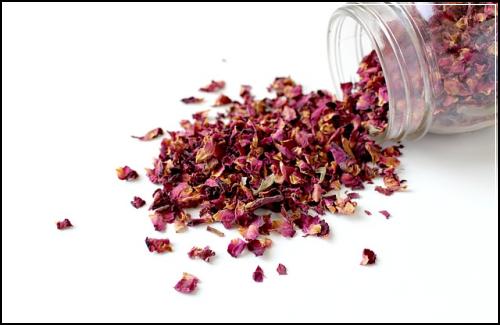메리츠 어린이 실비보험료 알아둘사항