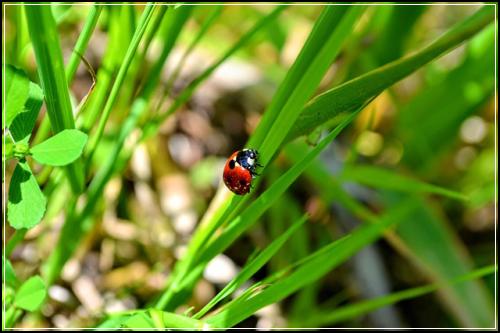 ligμ보ν νμ€νκ² κ°κ²©λΉκ΅ λνΈ λ¬Έ