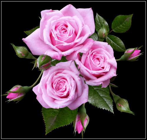 ์ ๊ธฐ๋ณดํ ๊ณต๋ตํ ์ ๊ฐ์
ํ๋ ๋ฐฉ๋ฒ