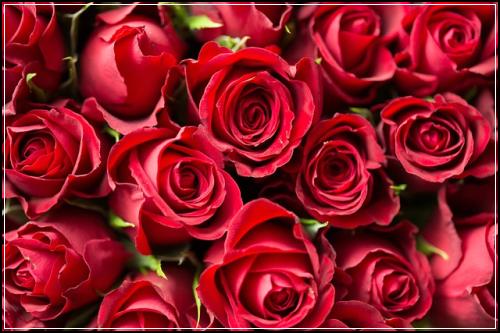 32์ธ์ฌ์์๋ณดํ ๋ณด์ฅ์ฒดํฌ ํ๋ฐฉํด๊ฒฐ