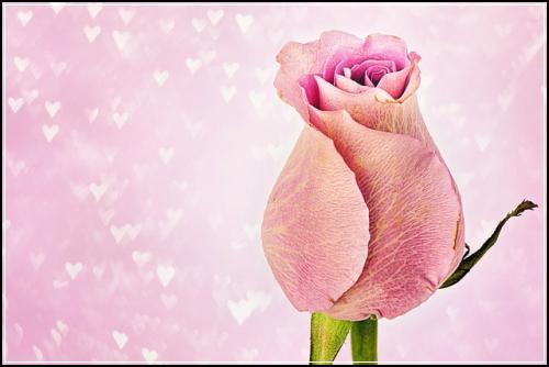 어린이보험 합리적인  만기요 살펴둘점