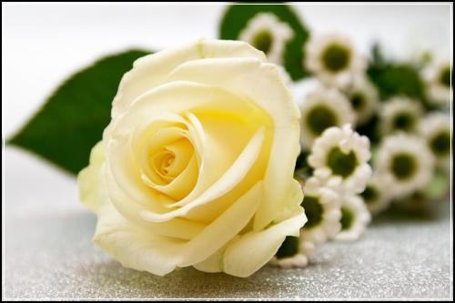 ํ ์ต ์ ์ ์์ธก ํ ์ต๊ณผ ์คํฝ ๋น๊ต : ํ ์ต ๋ฌธ์ #88