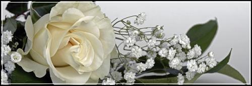 ์๋ณดํ ๋ณดํ์ ๋ณด ์ ๋ฌธ๊ฐ์ ํจ๊ป ์ค๊ณํ๊ธฐ
