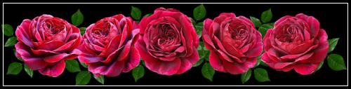 ๋ฉ๋ฆฌ์ธ ์ด๋ฆฐ์ด๋ณดํํ๋ ํด๋ด์ผ์ฃ