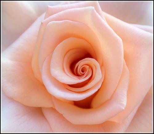 다시올려요 현대태아보험 받아보기 