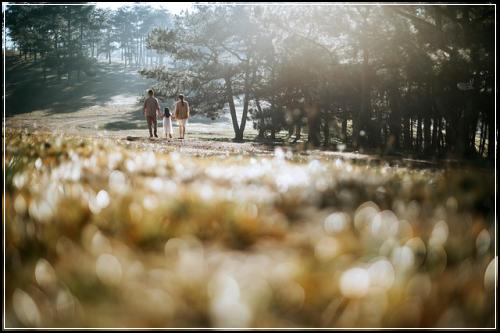 정기보험 특징확인  비교해서들을만한곳