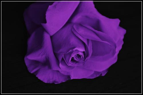 ๋ฉ๋ฆฌ์ธ ๊ด์ฐฎ๋์์์ด๋ณดํ ๋๋ฐ๋๊ฟํ