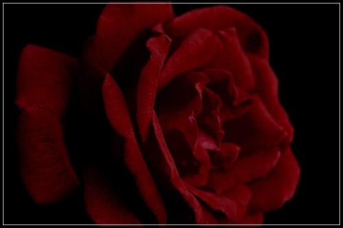 ์๋์ฐจ๋ณดํ ๊ฐ๋
์ฒดํฌ 2๋๊ฐ์
ํ ๋์ค๋ณต