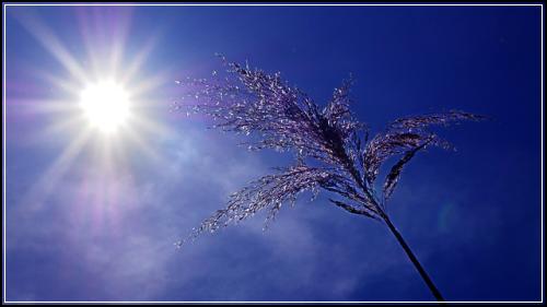 동부화재자녀보험 이렇게준비  이유있는 선택
