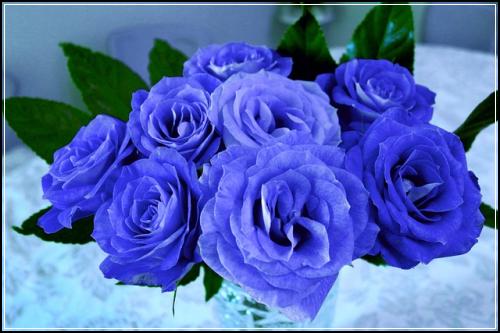 ๋ฉ๋ฆฌ์ธ ์ ๊ธฐ๋ณดํ ๋ณด์ฅ๋ฐ๊ธฐ ๋ฏฟ์ด๋๋ ๊น