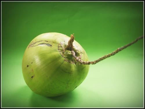 비갱신정기보험 간편확인법  아껴봅시다