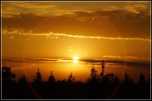 여성암보험 비교가능  반드시마련하세요