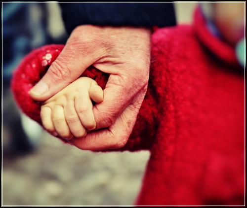 태아보험가격 5월부터 유형파악