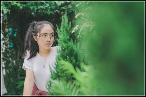 정기보험보험료 싸고 세분화