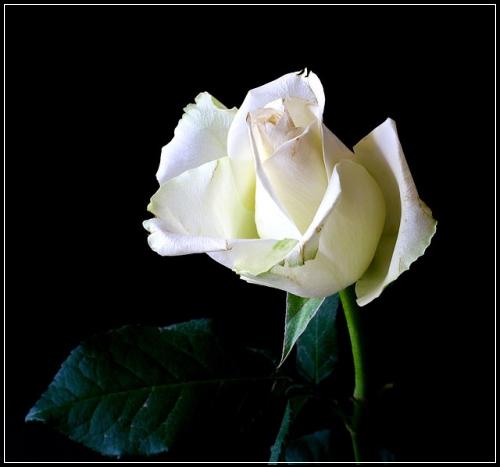 ์ํ๋น๋ณด์ฅ์๋ณดํ ๊ฐ์
ํด๋ณผ๊น ๊ฑฑ์ ๋ง๊ณ