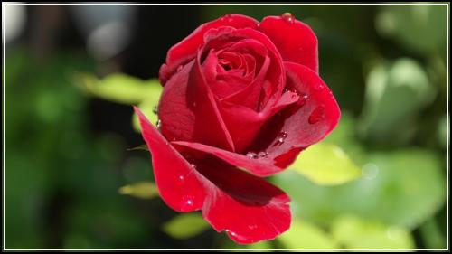 ์ด๋ณด ์๋์ฐจ๋ณดํ๋ฃ ์ผ๋ง๋ํด์ ๋ณด๊ณ ๊ฐ์ธ์